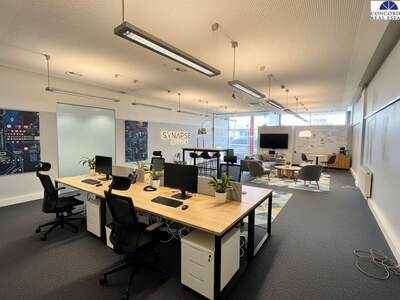 Gewerbeobjekt mieten in 1110 Wien (Bild 2)