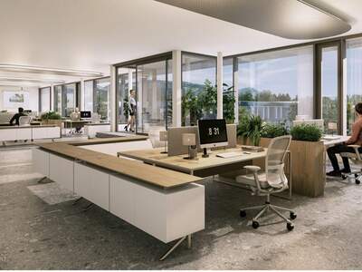 Gewerbeobjekt mieten in 5020 Salzburg (Bild 2)