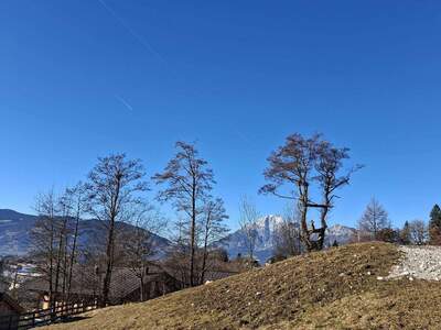 Grundstück kaufen in 5761 Maria Alm