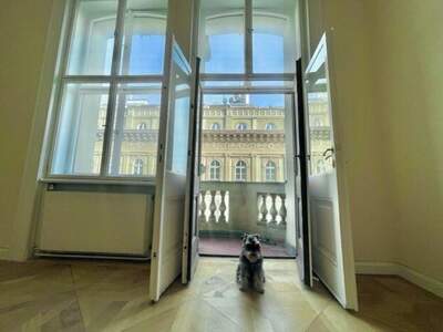 Altbauwohnung mit Balkon mieten in 1010 Wien (Bild 4)