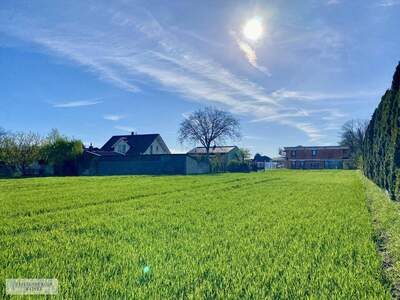 Grundstück kaufen in 2486 Pottendorf