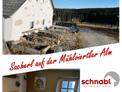 Haus kaufen in 4252 Liebenau