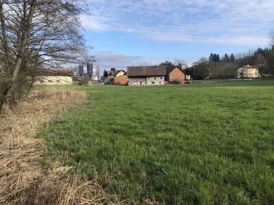 Gewerbeobjekt kaufen in 4760 Raab (Bild 4)