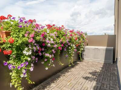 Wohnung mit Balkon kaufen in 8141 Premstätten (Bild 4)