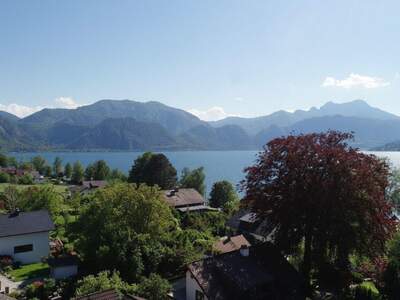 Anlageobjekt kaufen in 4853 Steinbach (Bild 5)