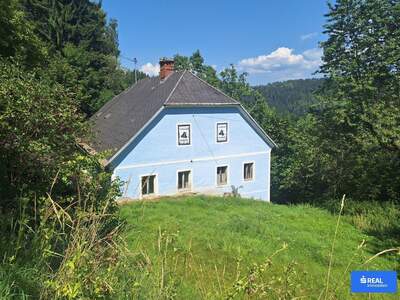 Gewerbeobjekt kaufen in 9433 St. Andrä (Bild 3)