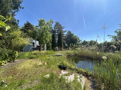 Grundstück kaufen in 4611 Buchkirchen