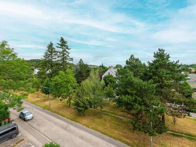 Altbauwohnung kaufen in 1130 Wien (Bild 3)