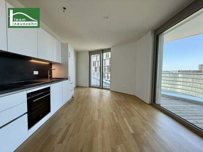 Terrassenwohnung mieten in 1100 Wien (Bild 1)