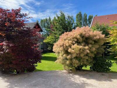 Mehrfamilienhaus kaufen in 2353 Guntramsdorf (Bild 3)