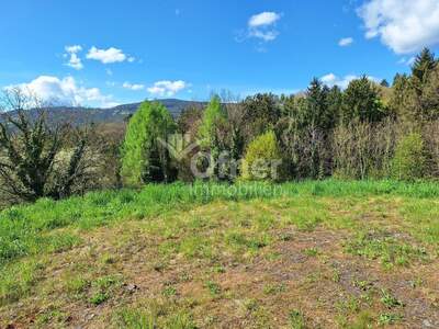 Gewerbeobjekt kaufen in 8152 Krottendorf (Bild 3)