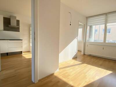 Wohnung kaufen in 1100 Wien