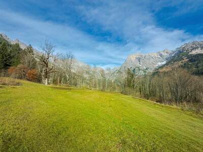 Grundstück kaufen in 5761 Maria Alm (Bild 3)