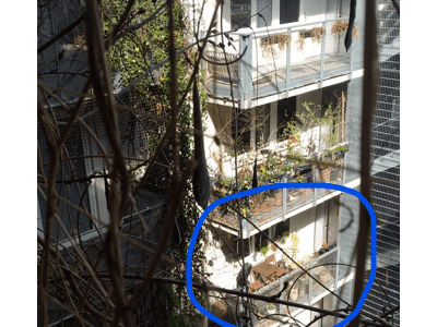 Mietwohnung provisionsfrei in 1050 Wien