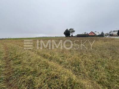 Grundstück kaufen in 2201 Kapellerfeld