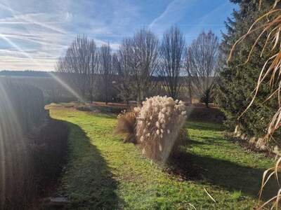 Grundstück kaufen in 4624 Pennewang (Bild 5)