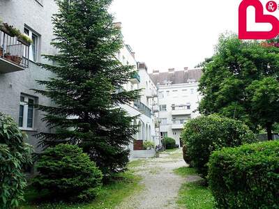 Wohnung mieten in 4600 Wels (Bild 3)