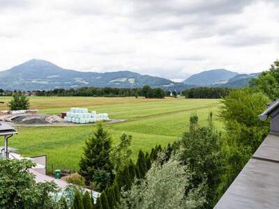 Terrassenwohnung mieten in 5020 Salzburg (Bild 4)