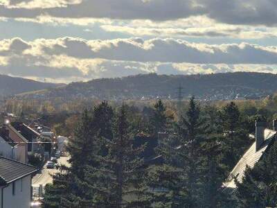 Grundstück kaufen in 2103 Langenzersdorf (Bild 2)