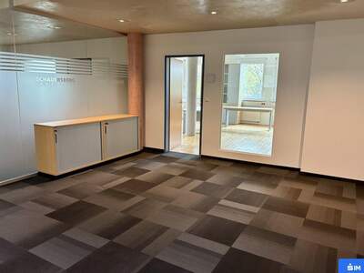 Gewerbeobjekt mieten in 8042 Graz (Bild 4)