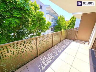 Terrassenwohnung kaufen in 1230 Wien (Bild 1)