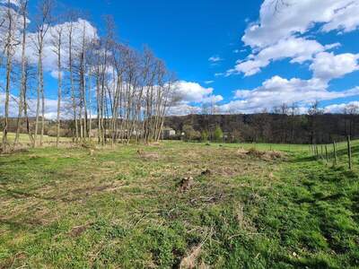 Grundstück kaufen in 8082 Kirchbach (Bild 4)