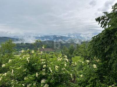 Einfamilienhaus kaufen in 9062 Moosburg (Bild 2)