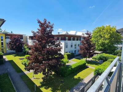 Wohnung mit Balkon kaufen in 4600 Wels (Bild 1)