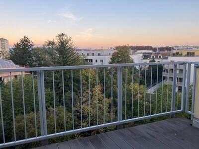 Wohnung mieten in 2700 Wiener Neustadt