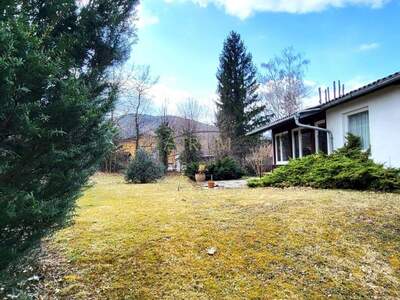 Haus kaufen in 2650 Payerbach (Bild 1)