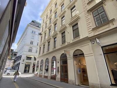 Gewerbeobjekt mieten in 1010 Wien (Bild 2)