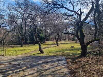 Haus kaufen in 2344 Maria Enzersdorf (Bild 2)