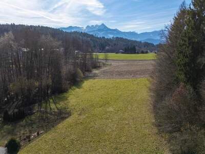 Grundstück kaufen in 9220 Velden