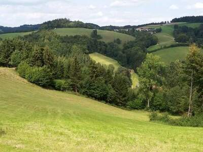 Gewerbeobjekt kaufen in 2860 Kirchschlag