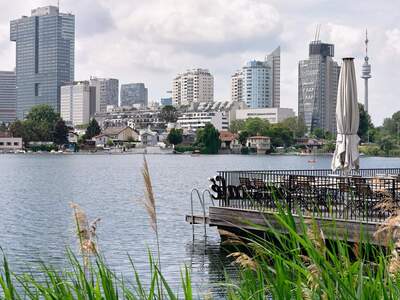 Mehrfamilienhaus kaufen in 1220 Wien (Bild 5)