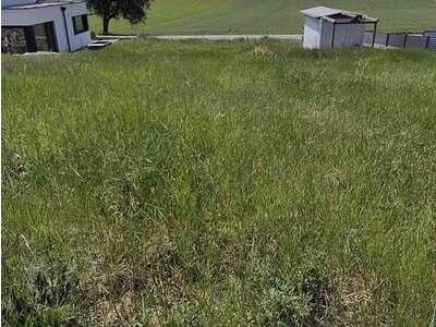 Plot / Land provisionsfrei kaufen in 3386 Sasendorf