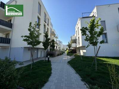 Terrassenwohnung mieten in 1220 Wien (Bild 1)