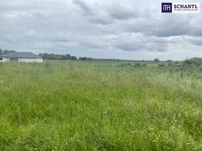 Grundstück kaufen in 7564 Dobersdorf