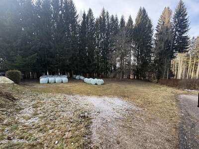 Grundstück kaufen in 9441 Vordertheißenegg