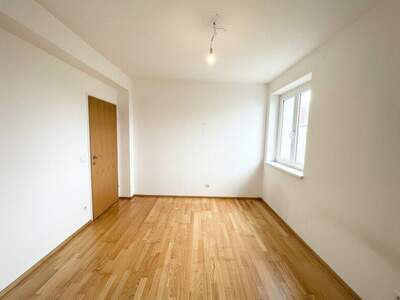 Terrassenwohnung mieten in 3140 Pottenbrunn (Bild 4)