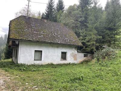 Gewerbeobjekt kaufen in 9135 Ebriach (Bild 2)