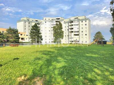 Terrassenwohnung kaufen in 4481 Asten (Bild 2)