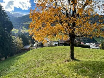 Grundstück kaufen in 6133 Weerberg (Bild 3)