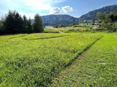 Grundstück provisionsfrei kaufen in 2724 Stollhof