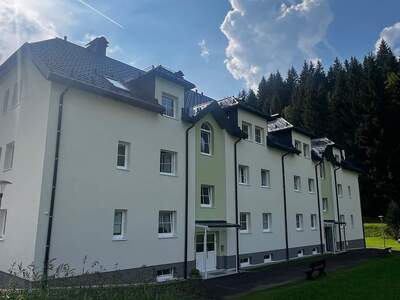 Wohnung mieten in 3295 Lackenhof