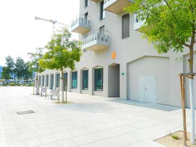 Gewerbeobjekt mieten in 8020 Graz