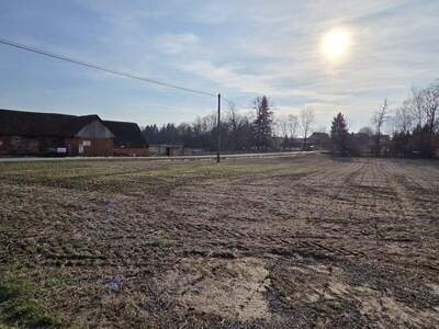 Grundstück kaufen in 8483 Deutsch Goritz (Bild 2)