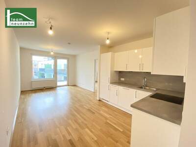 Terrassenwohnung mieten in 1210 Wien (Bild 3)