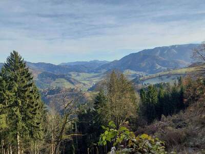 Grundstück kaufen in 3264 Gresten