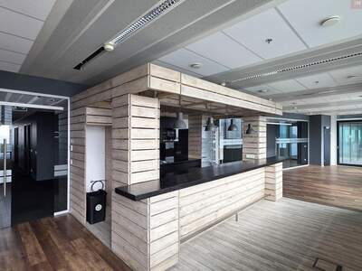 Gewerbeobjekt mieten in 1220 Wien (Bild 5)